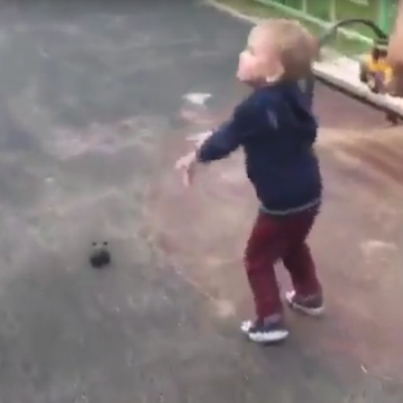 Унфракрасная крыса