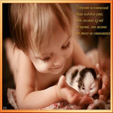 День Доброты