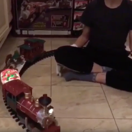 Новогодняя железная дорога