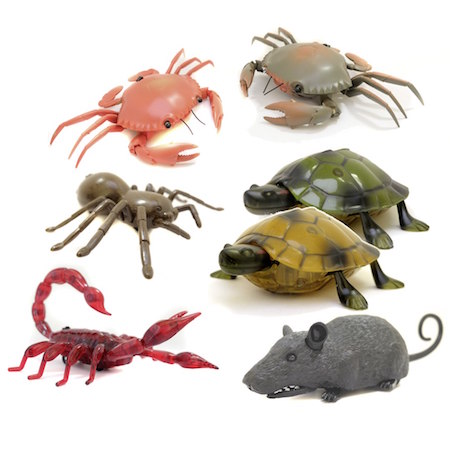 Всемирный день домашних животных